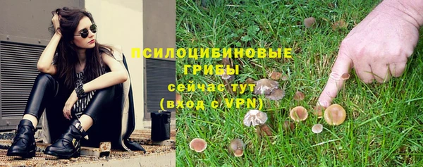 дурь Белокуриха