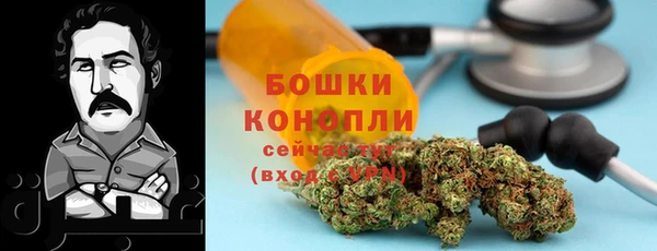 дурь Белокуриха